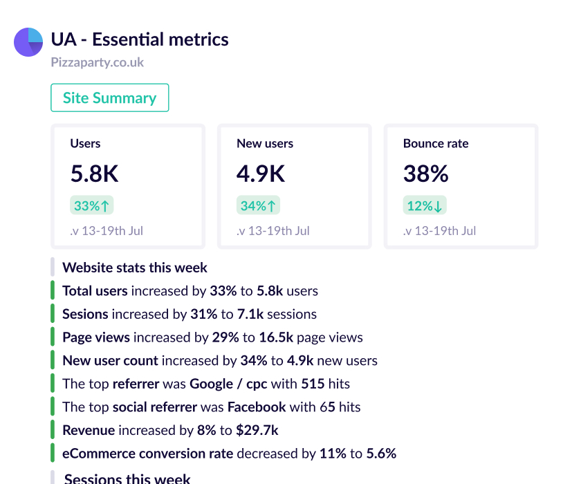 site summary template business report